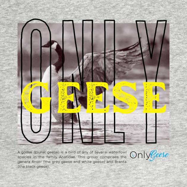 OnlyGeese Streetwear Style by OnlyGeeses